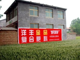 色达如何让墙体广告展现最大化效果