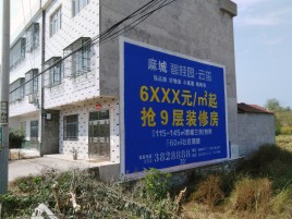色达墙体广告质量分析