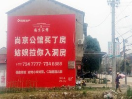 色达墙体广告在乡镇、农村市场的媒体优势