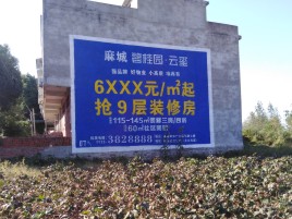 色达品牌公司青睐的墙体广告